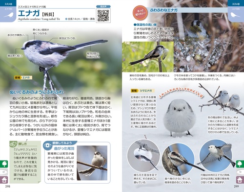 ぱっと見わけ 観察を楽しむ 野鳥図鑑【増補改訂版】 – 丸善ジュンク堂