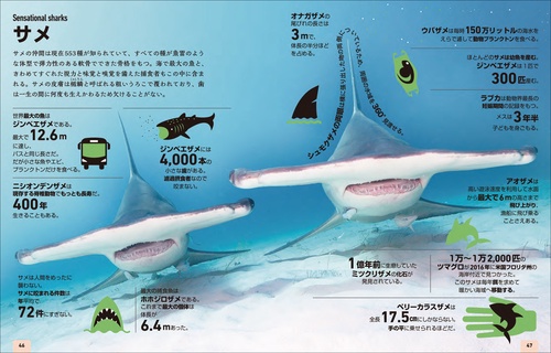 SHARP Papyrus 動物図鑑 PW-CA100 SHARP Papyrus 動物図鑑 PW-CA100