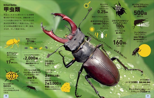 数字でみる動物図鑑 – 丸善ジュンク堂書店ネットストア