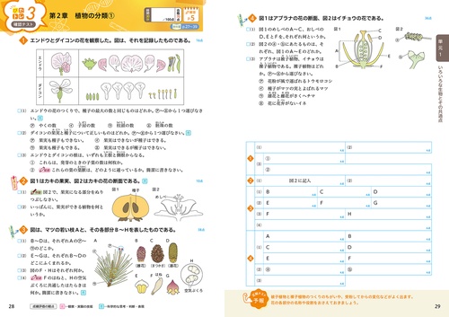 中学 教科書ぴったりトレーニング 理科1年 東京書籍版（教科書完全