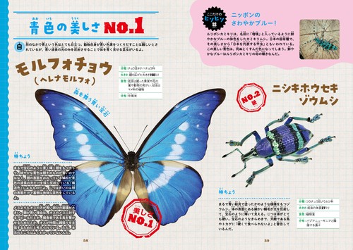 昆虫No．1図鑑 – 丸善ジュンク堂書店ネットストア