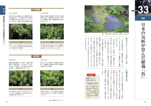 日本庭園のひみつ 見かた・楽しみかたがわかる本 鑑賞のコツ超入門