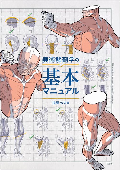 美術解剖学の基本マニュアル – 丸善ジュンク堂書店ネットストア
