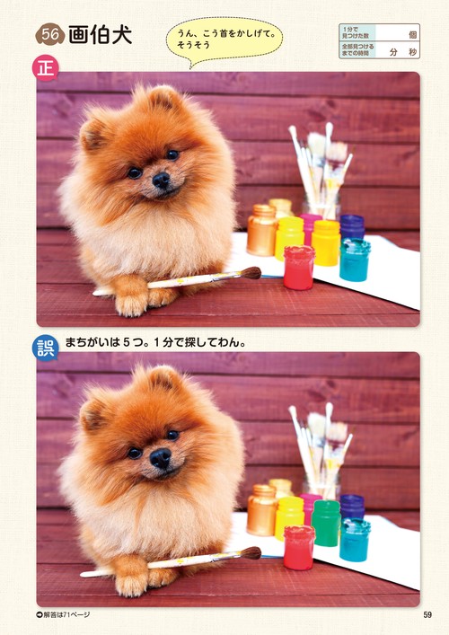 毎日脳活スペシャル いぬのまちがいさがし ポメラニアンてんこ盛り