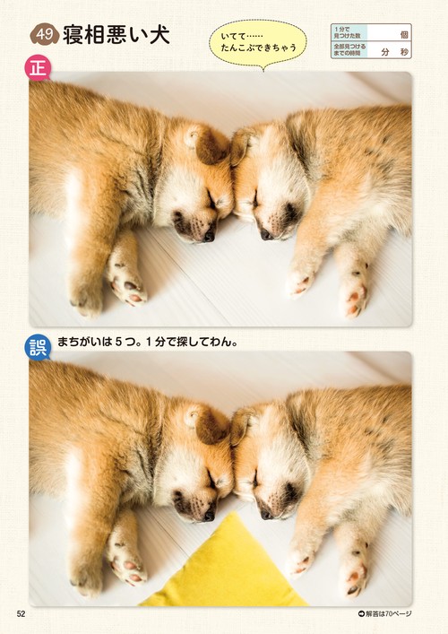 とても珍しい　仔犬の伊万里 犬用おもちゃ 犬雅 和食ラテックス 伊勢えび | ペティオ オンライン