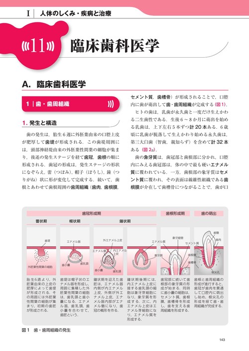 言語聴覚士研究 51kkEWkbZmL._AC_SY200_QL15_.jpg
