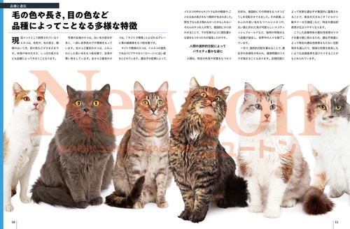 Newton（ニュートン）増刊 Nyaton ニャートン (2025年03月