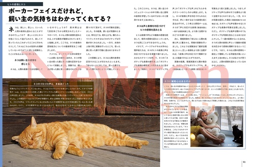 ニュートン様 リクエスト 3点 まとめ商品 N様 リクエスト 3点 まとめ商品 - メルカリ