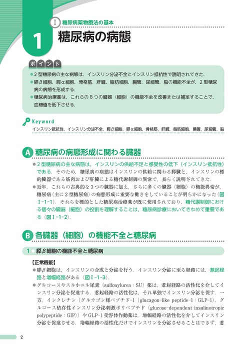 徹底解説！糖尿病治療薬選び方・使い方 第2版 患者に応じた処方