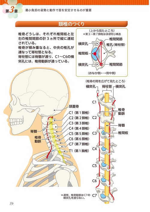 首がみるみる強まる頚椎症の治し方大全 – 丸善ジュンク堂書店ネットストア