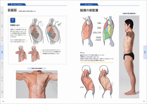【中古】解剖学用語 改訂11版／日本解剖学会 編／丸善 中古】解剖学用語 改訂11版／日本解剖学会 編／丸善 解剖学用語 |