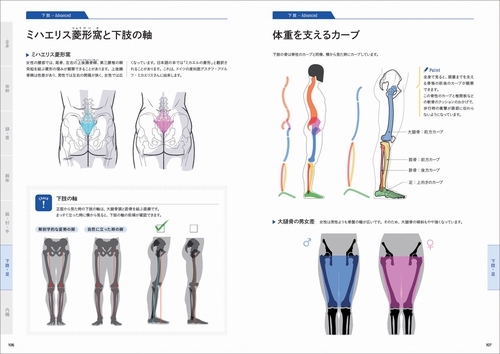 美術解剖学の基本マニュアル – 丸善ジュンク堂書店ネットストア