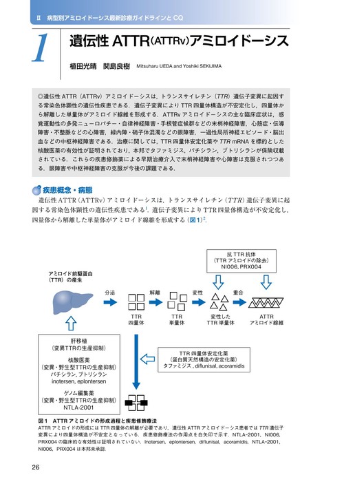 アミロイドーシス診療ガイドライン2025 – 丸善ジュンク堂書店ネットストア