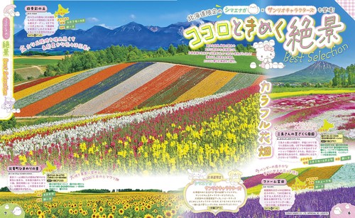 るるぶ北海道'26 – 丸善ジュンク堂書店ネットストア