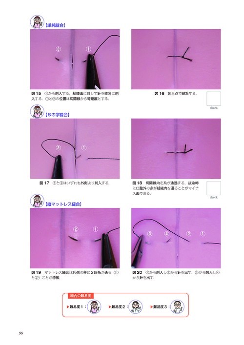 スタートアップ ぺリオドントロジー 写真とイラストで理解を深める スタートアップ ペリオドントロジー