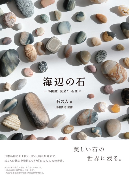 海辺の石 – 丸善ジュンク堂書店ネットストア