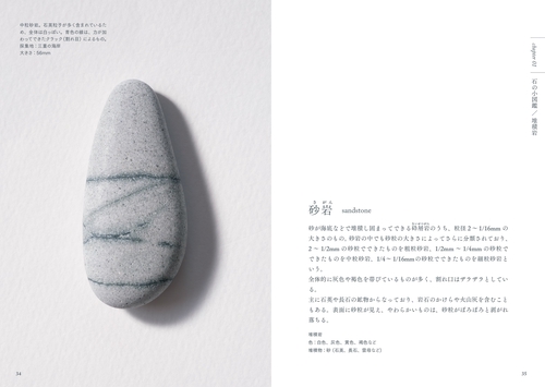 海辺の石 – 丸善ジュンク堂書店ネットストア