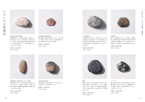 海辺の石 – 丸善ジュンク堂書店ネットストア
