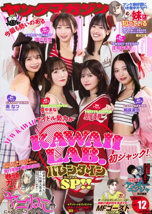 ヤングマガジン (2025年03月1週目号) [雑誌] (2025年03月1週目号