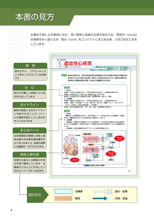 visual core pharma 薬物治療学 – 丸善ジュンク堂書店ネットストア