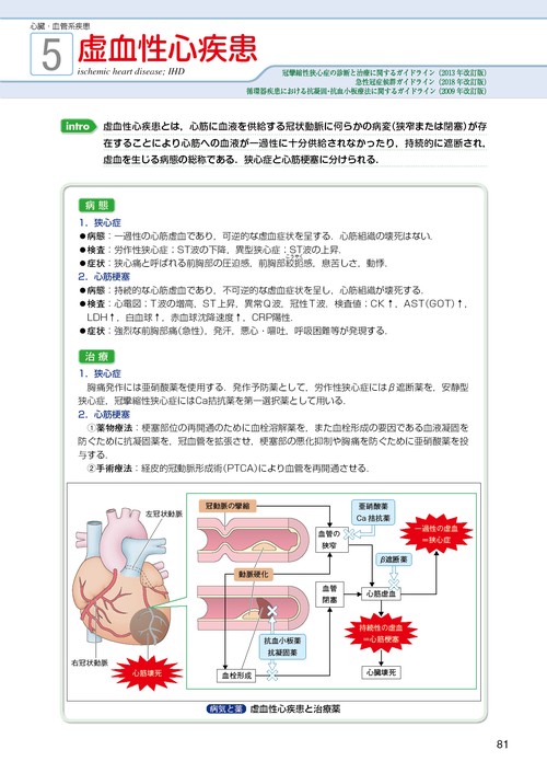 visual core pharma 薬物治療学 – 丸善ジュンク堂書店ネットストア