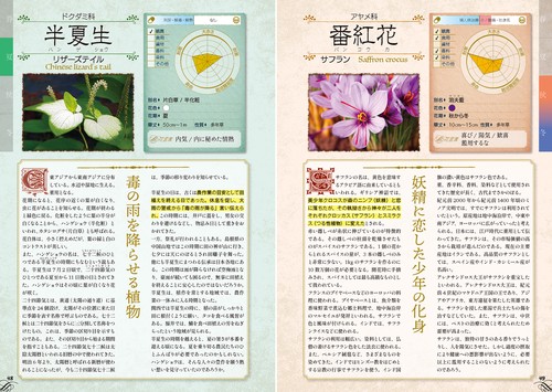 聖書植物 (動物) 大事典 聖書植物大事典｜国書刊行会