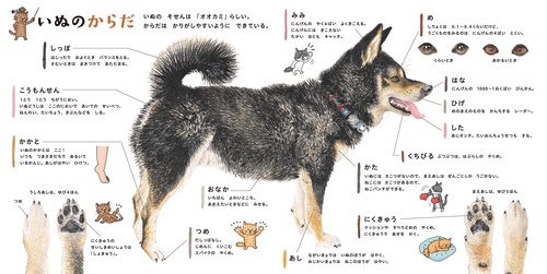 いぬのずかん – 丸善ジュンク堂書店ネットストア