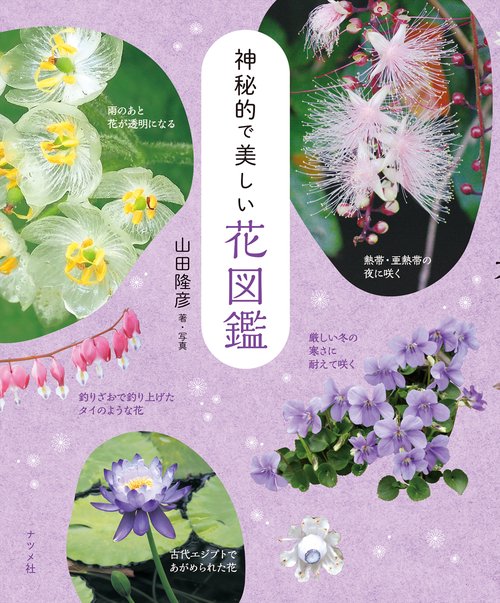 ★花の秘伝 豪華本 講談社 定価38000円 大型本 華道 図鑑 池坊 書籍 重要文化財指定九十三瓶図 専好立花の鑑賞 日本華道社