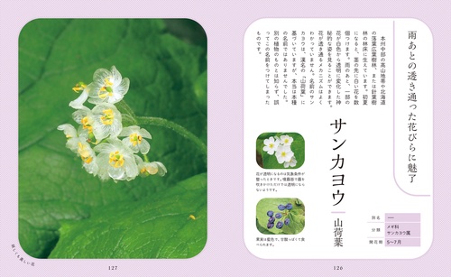 神秘的で美しい花図鑑 – 丸善ジュンク堂書店ネットストア