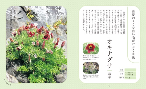 神秘的で美しい花図鑑 – 丸善ジュンク堂書店ネットストア