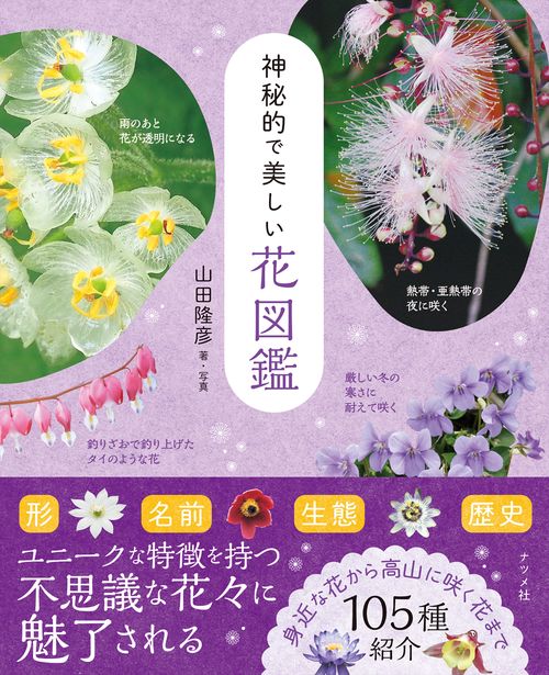 神秘的で美しい花図鑑 – 丸善ジュンク堂書店ネットストア