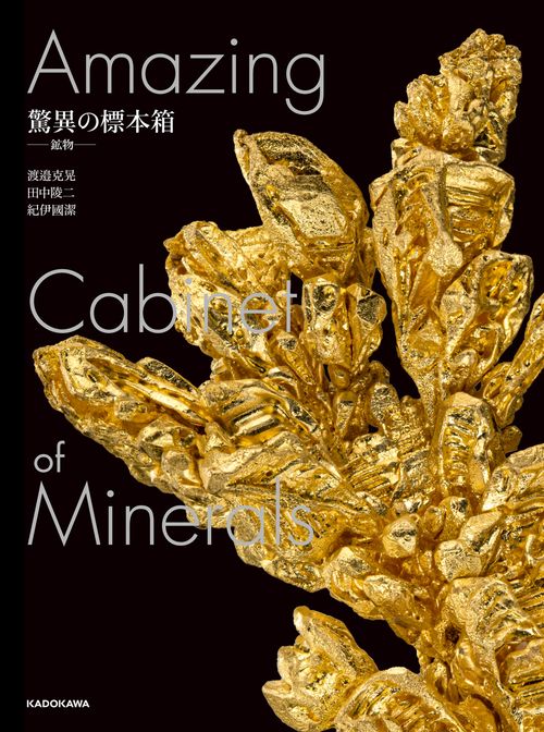 驚異の標本箱 ‐鉱物‐ – 丸善ジュンク堂書店ネットストア