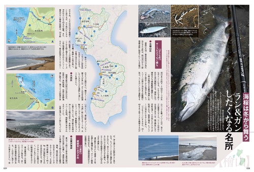 岸からねらう！サクラマス＆アメマス釣り北海道 – 丸善ジュンク堂書店