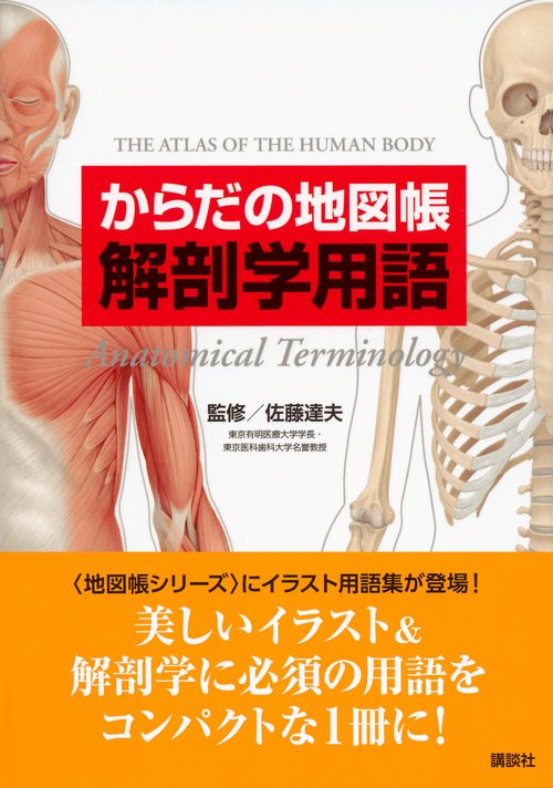 【中古】 解剖学用語 改訂１２版/丸善出版/日本解剖学会 中古】 解剖学用語 一般解剖学用語・組織学用語・発生学用語