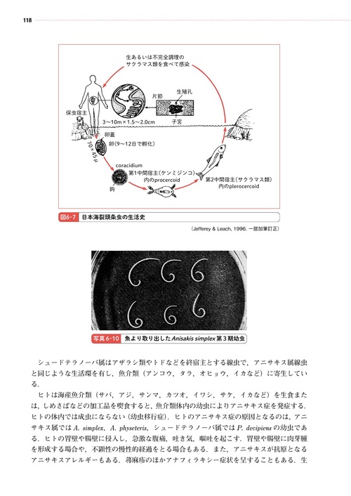 食べ物と健康・食品と衛生 新食品衛生学要説2025年版 – 丸善