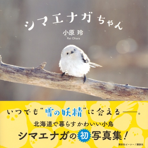 シマエナガちゃん – 丸善ジュンク堂書店ネットストア