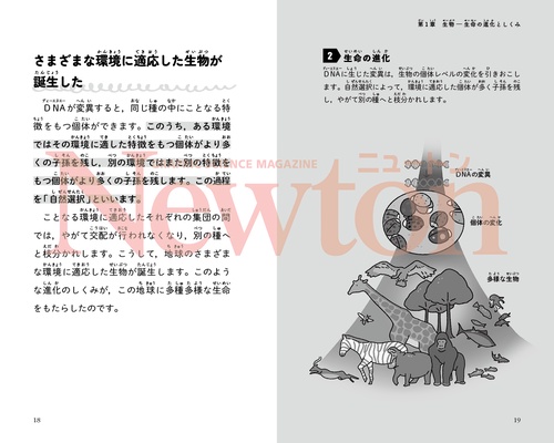ニュートン超図解新書 最強に面白い 中高理科 – 丸善ジュンク堂書店