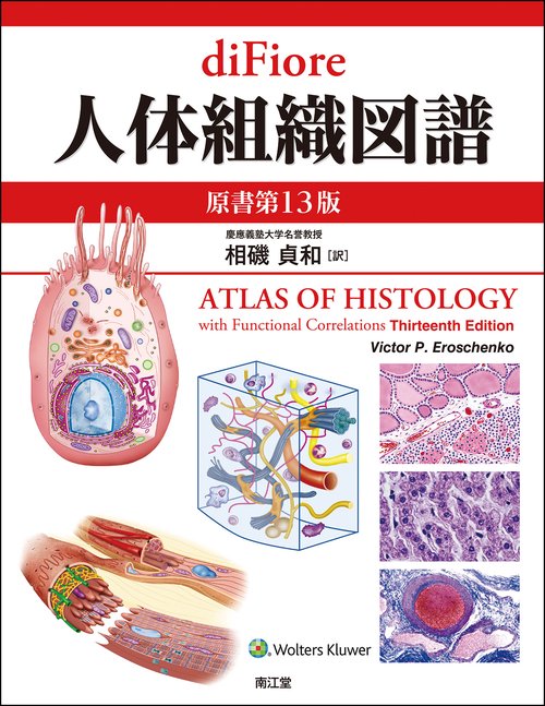 diFiore人体組織図譜 diFiore人体組織図譜（原書第13版） – 丸善ジュンク堂書店ネット