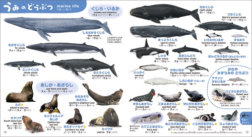 こどもずかん どうぶつ777 英語つき しゃしんバージョン – 丸善