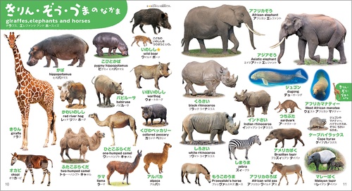 こどもずかん どうぶつ777 英語つき しゃしんバージョン – 丸善