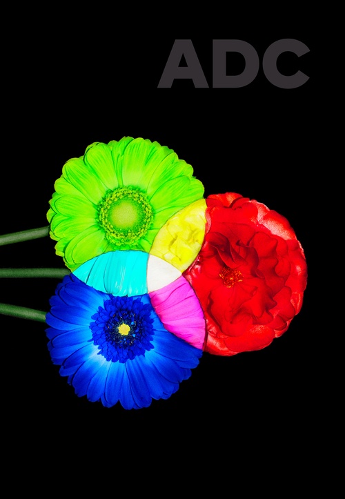 アート・デザイン・音楽 ADC ART DIRECTION JAPAN 2024 ART DIRECTION JAPAN/日本のアートディレクション 2023 東京