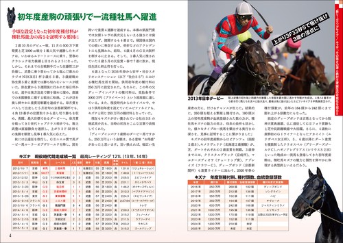 種牡馬最強データ'25～'26 – 丸善ジュンク堂書店ネットストア