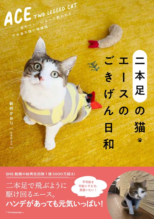二本足の猫・エースのごきげん日和 – 丸善ジュンク堂書店ネットストア