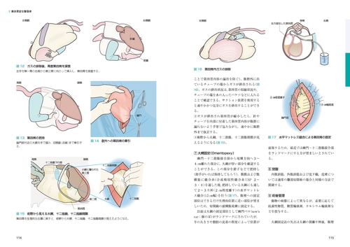 牛の臨床外科 – 丸善ジュンク堂書店ネットストア