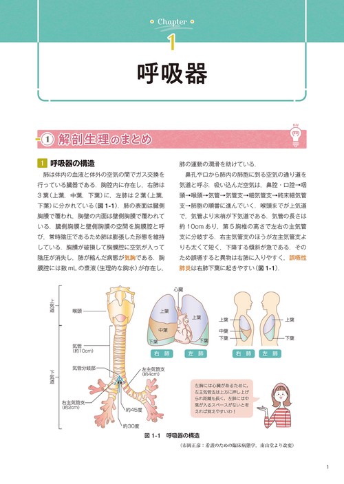看護師国試対策START BOOK 解剖生理と疾病の特性 – 丸善ジュンク堂書店