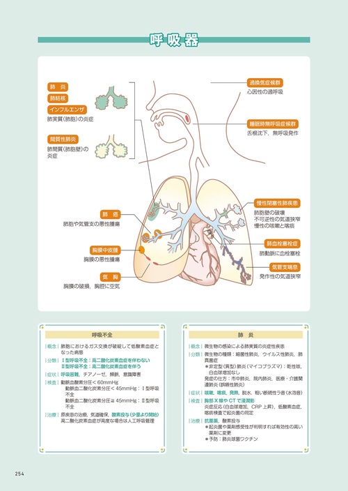 看護師国試対策START BOOK 解剖生理と疾病の特性 – 丸善ジュンク堂書店