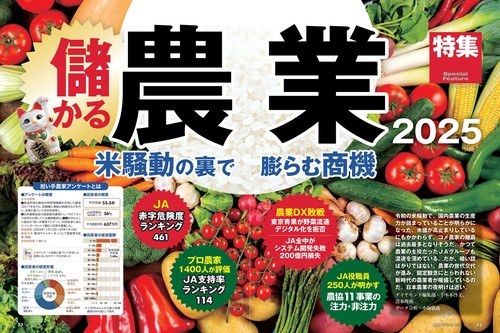 【ほぼ新品】週刊ダイヤモンド 2024 2025 抜けなし40冊 総予測2025(週刊ダイヤモンド 2024年12/28・2025年1/4合併特大号