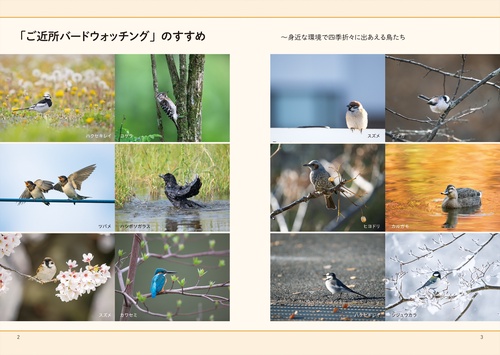身近な場所で出あえる 野鳥の教科書 – 丸善ジュンク堂書店ネットストア