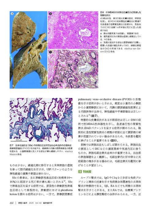 病理解剖実践ガイドブック 2025 病理解剖実践ガイドブック2025 | 株式会社文光堂