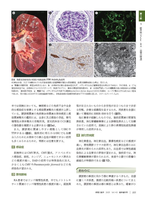 病理と臨床 2025年臨時増刊号（43巻）：【特集】病理解剖実践